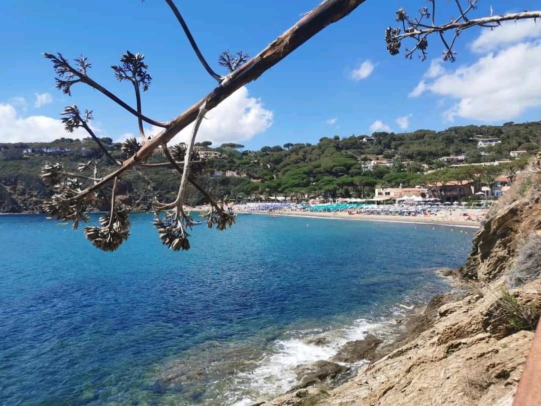 Apartment Rosa Dei Venti Capoliveri (Isola d'Elba)