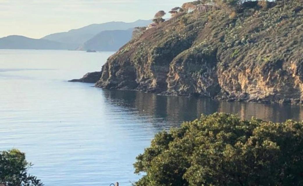 Rosa Dei Venti Capoliveri (Isola d'Elba)